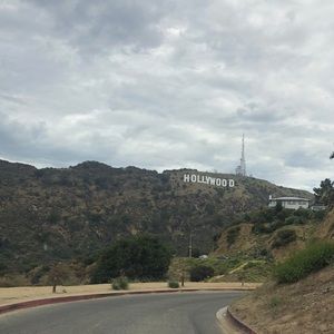 Meet your Posher, Annie